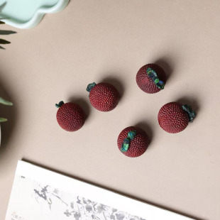 �t̴ľ��̲�ݮ��������ֹ�DIY��֦ˮ��̴ľ�Ϲ��Ʒ���耳׿�