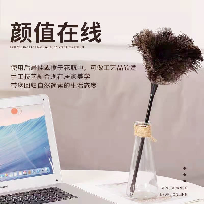 Pluma de avestruz plumero eliminación de polvo sin pelusa limpieza del hogar coche limpieza estática pelo gris cepillo artefacto plumero de pollo