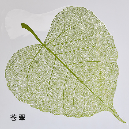 Una hoja de bodhi hoja transparente ramo de flores en papel floral material de embalaje de flores de papel de forma especial florista materiales de flor al por mayor