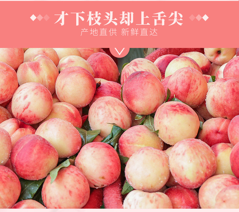陕西水蜜桃详情_04.jpg