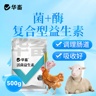 �A���������ثF���iţ���u���Z��θ���L�p�ٰ����������{���c��