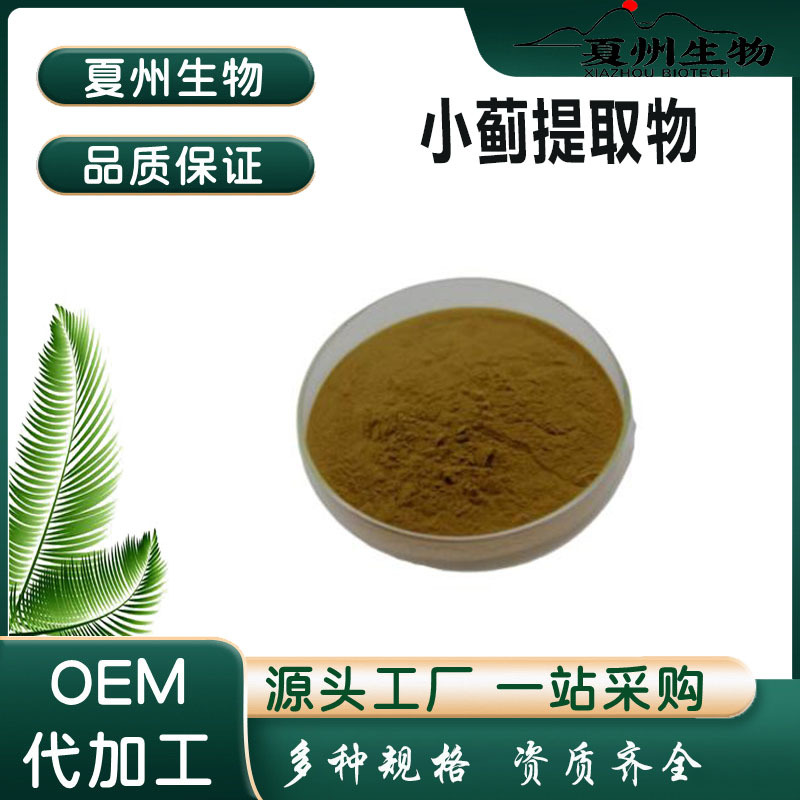 小蓟提取物10：1 小蓟粉 多规格 小蓟萃取粉 水溶 夏州生物供应