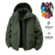 26�����羳�¿�_�h���г����L����ʿ�A�����e������H���b������