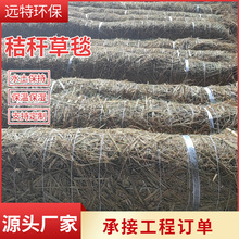 Ҭ�zֲ��̺�o�¼ӽ����B̺����̺Ҭ�z�w�S�ɽ��⿹�_���ﵾ��̺