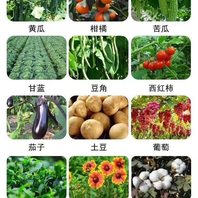 微信图片_20230717091342