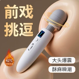 震动棒;情趣跳蛋;后庭用品