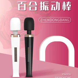 震动棒;情趣跳蛋;女用穿戴