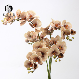 ���Sֱ�N EVA����7�^�����m�Wʽ�ָм��m�� ��Y��ˇ�ҾӲ����b�