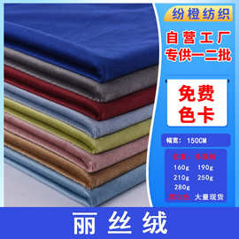 厂家现货荷兰绒玩具绒布丽丝绒面料批发天鹅绒沙发抱枕服装布料
