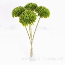 �¿����䳲�� ��֧�R��C�����ѹ�Ӣ��c�廨�c�Y�b����[��