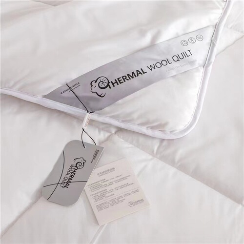 Simple solid color warm velvet wool quilt thickened warm single and double gift quilt core four seasons quilt wholesale group purchase
