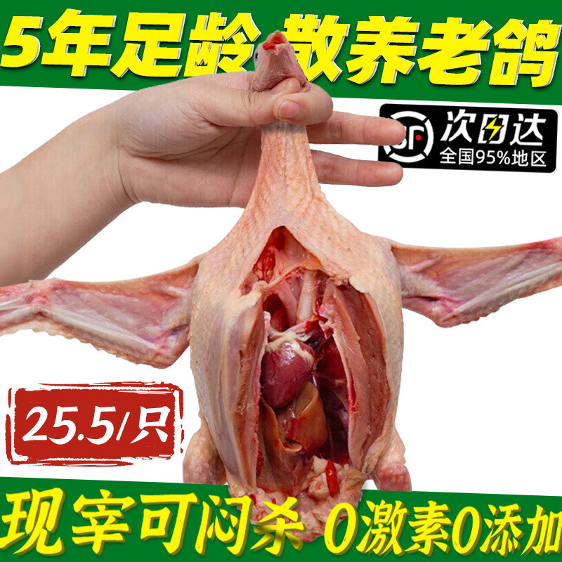 Freshly Killed Pigeon Meat, Live Non-Domestic Pigeon Meat, 5-Year-Old Pigeon, Young Pigeon, Fresh Farm-Raised Free-Range Stewed Soup