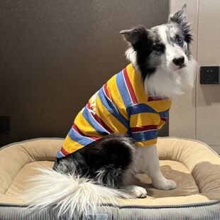 �����·����ﱡ��l�y�����m͸�����ë���ʹ���Ȯ���������ë