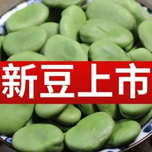 ��؛��Ƥ���Q���GƤ�Q�����r���Q�������_�h��ɏ�������l�r���]