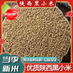 陕北小米陕西米脂小米黑小米新米小黑米500g粮食小米杂粮油小米粥