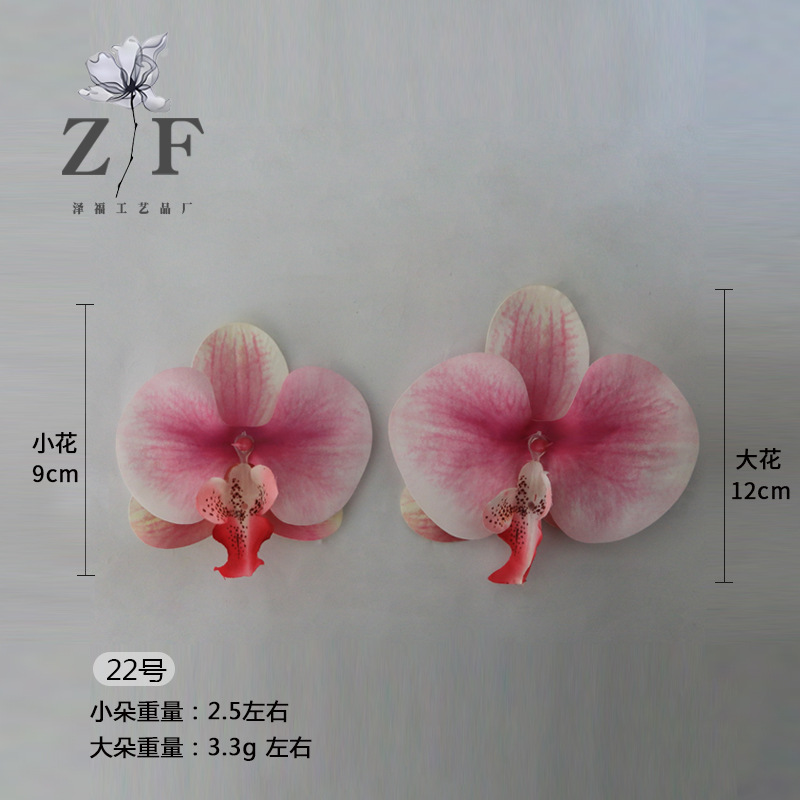 22호(대)