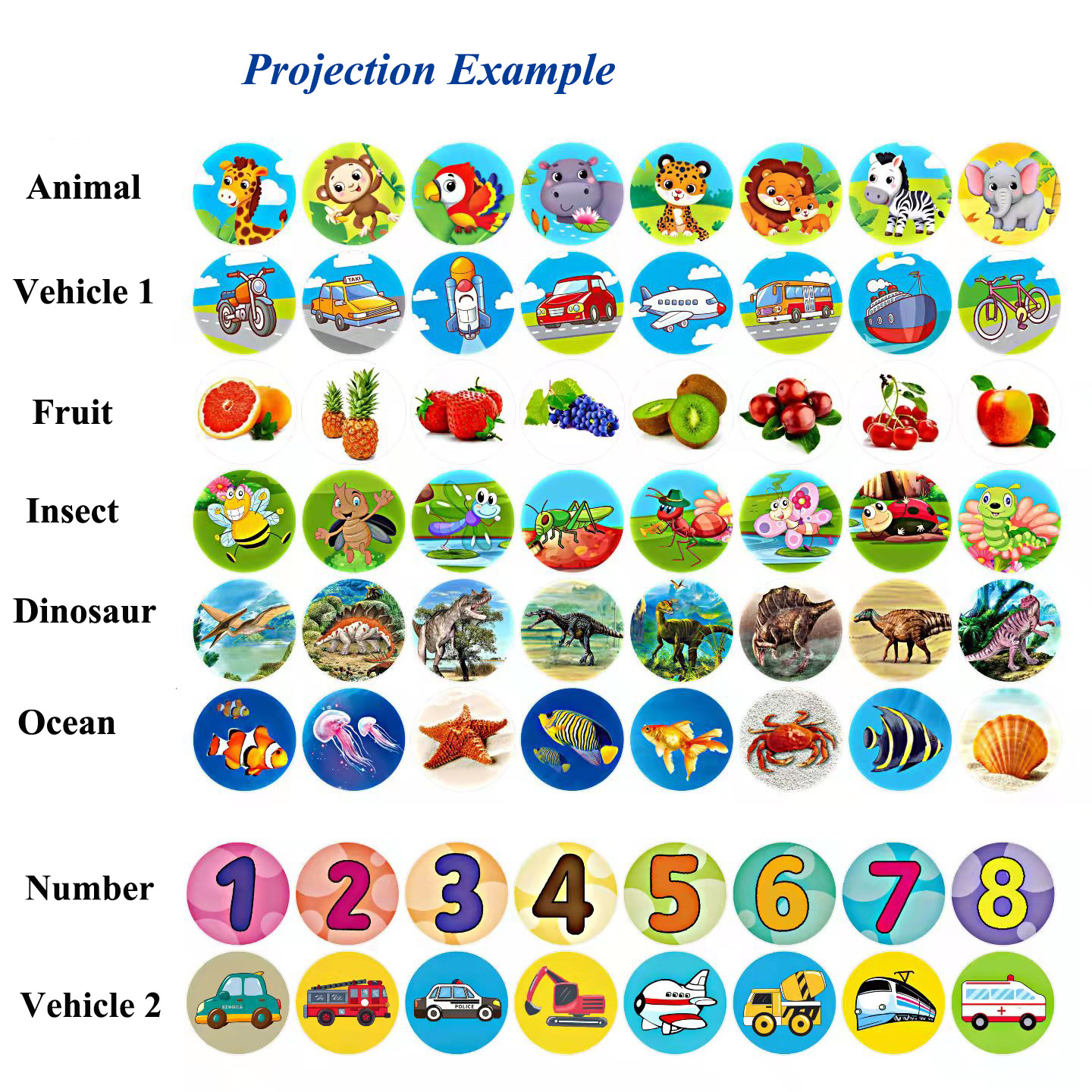 Ciencia y Educación DE LOS NIÑOS juguete cognitivo dinosaurio animal proyección linterna 48 sombra 6 unidades