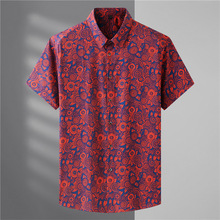 ���Q����վ���R�d�羳�����Ļ���ʿ�����r�����揗3D���aӡ�����l