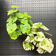 ܛz~bپG~쾰廨Ꭷ^~l