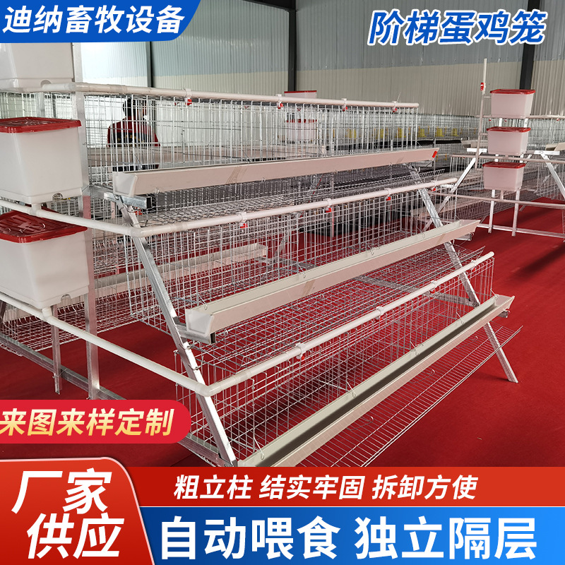 Jaula multicapa de cría automática completa de gallinas ponedoras de huevo rodante tipo escalón automático de doble lado de jaula doméstica de gallinas