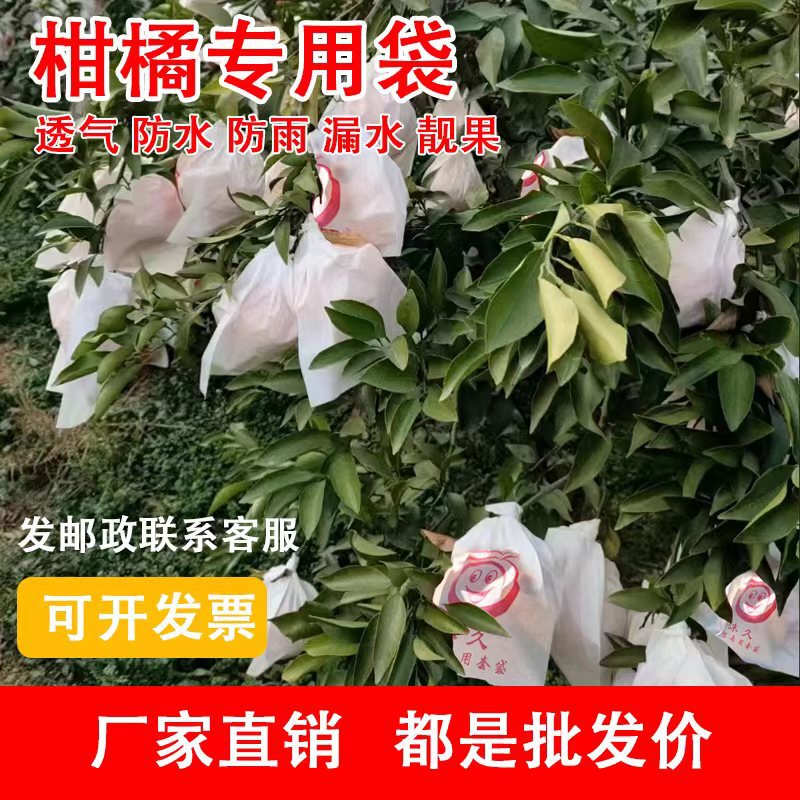 柑橘袋みかん果物袋醜いみかんオレンジ熊手虫よけ防虫鳥ザクロ沃柑臍オレンジ果物紙袋|undefined