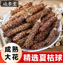 ș؛ëĿĿ؈צĿݲѹӢˮݲɢY