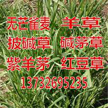 �oâȸ���N�����|���|é������é�ļ��N�Bţ�t�����|����ݷN��