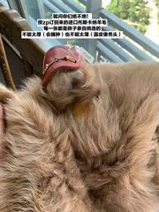 【sheii蘇茵茵】鎮店之寶~馬銜扣包頭半拖穆勒鞋羊毛毛拖鞋女外穿