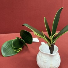 �ָ�ܛ�z��������m�~���쾰���ľ����m���~ֲ�����Ի�ˇ�廨���