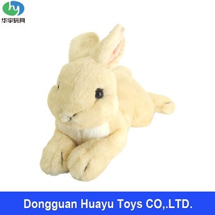 ��������ë�q���С��ë���|�L���ñ���ץ���ޙC��ͯ��ż��D����