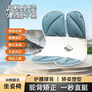 昌峰 护腰矫姿垫办公室久坐不累学生护腰靠垫可拆卸清洗护腰坐垫