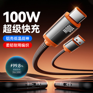 �¿��X������������100W�m���O����׿�A��typec�֙C܇�d��늾���