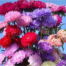 ��ɫ�ǹ��շN��С�r�ջ��Ѳʺ��ݷN���׻��ļ��_���҃������ͺ�