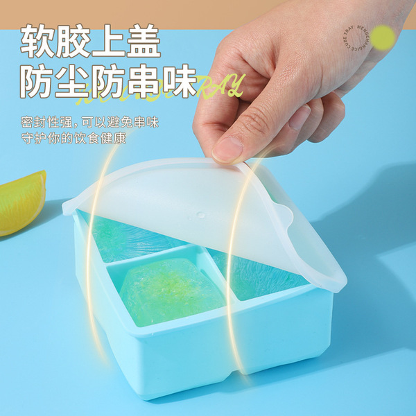 Silicone mold for home use