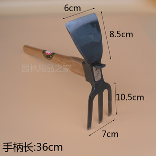 ������ȫ����w�������z���z�^���X�Ҿ�Ʒ�@ˇ�����z�^�r�߷N��