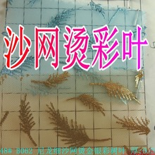 ��ɫ������ɳ�W�C���y�ʘ��~ɳ�W�C���~ñ�ӾWЬ�ľW�C���W�ۻ�ʽ