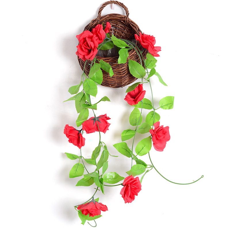 9-cabeza Rosa vid roja