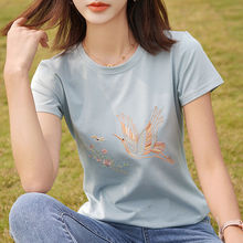 100%TŮ2024ļ¿rд̽ϲopСn³