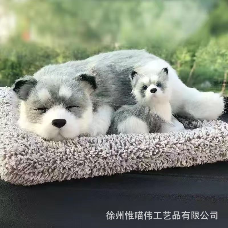 Madre-hijo Husky Squat + Grey-haired Squirrel