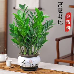 ���X������ֲ���k���҃ȿ͏d���;Gֲ��ꎘ仨���辰���B
