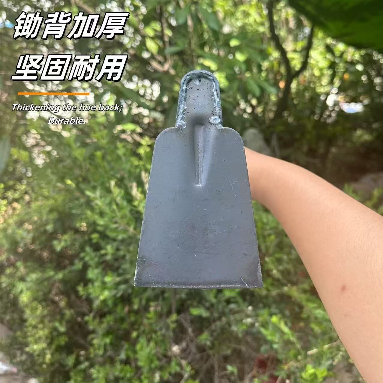 微信图片_20260120134436_12_83.jpg