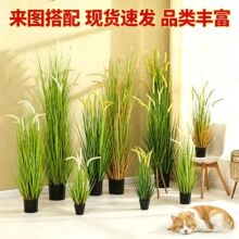 ���湷β�Ͳ� �����ѹ�Ӣ����Gֲ�Ƶ��b��쾰ܛ�b�����b[��