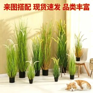 ���湷β�Ͳ� �����ѹ�Ӣ����Gֲ�Ƶ��b��쾰ܛ�b�����b[��