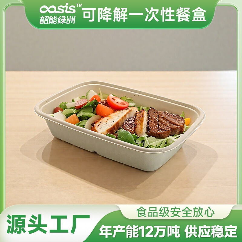 Shaolü Wholesale 790ml Sugarcane Pulp Bamboo Pulp Biodegradable Compostable Disposable Packaging Box Takeaway Food Grade