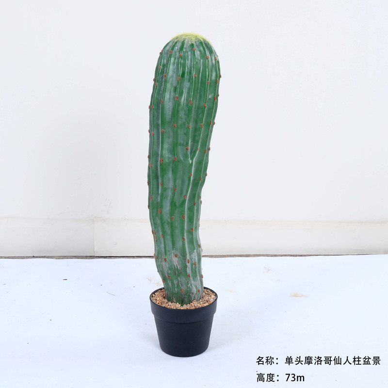 仿真龙神柱仙人掌寄生仙人球摩洛哥沙生植物造景软装样板工程装饰|undefined
