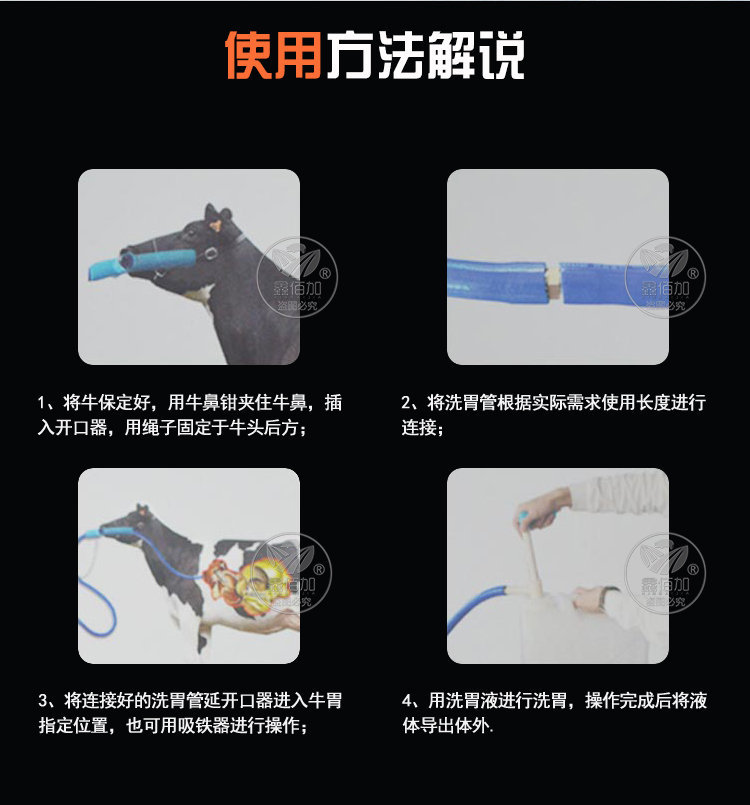 牛开口器C详情页 (5).jpg