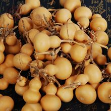 �S�����lС���J�������澫Ʒ�Nֲ�������J������Ȼ���J ���NҎ��