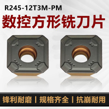 数控四方面铣刀山特槽R245-12T3M-PM铣刀刀粒