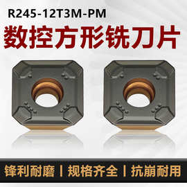 数控四方面铣刀山特槽R245-12T3M-PM铣刀刀粒