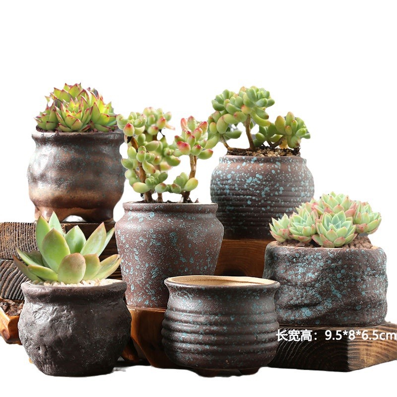 Macetas suculentas Macetas de cerámica Oferta especial Creativo Macetas especiales para plantas de carne pequeña Venta al por mayor Venta directa de fábrica Macetas de cerámica